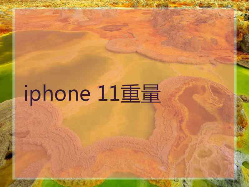 iphone 11重量