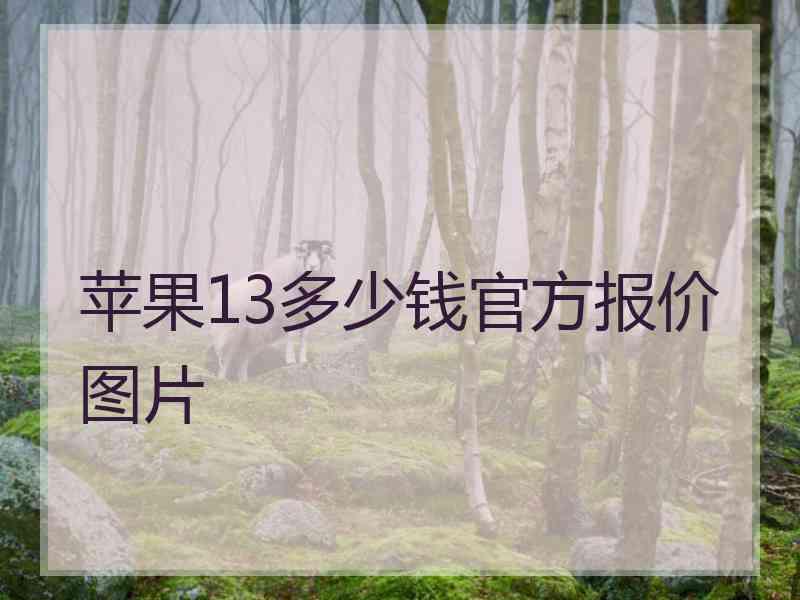 苹果13多少钱官方报价图片