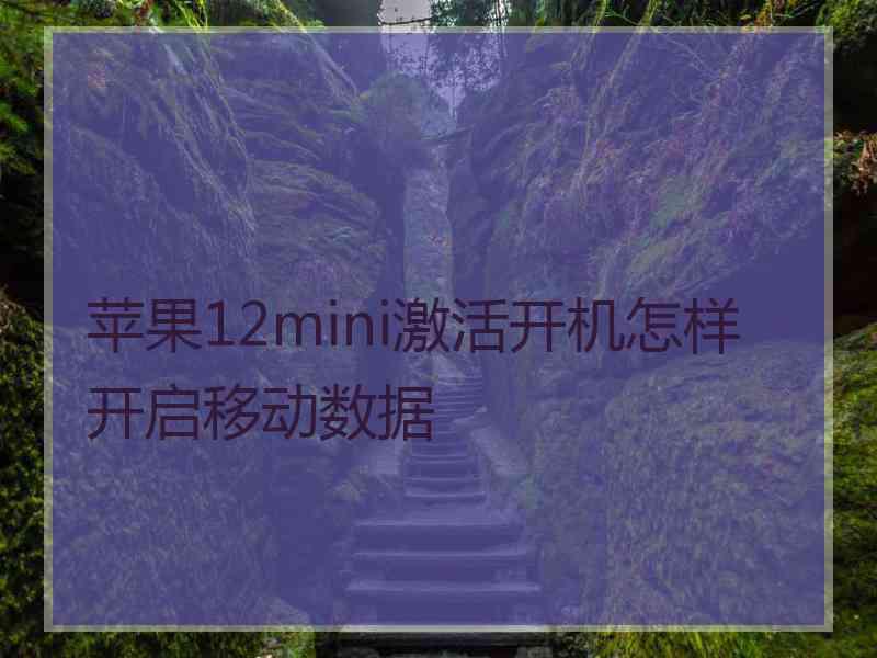 苹果12mini激活开机怎样开启移动数据