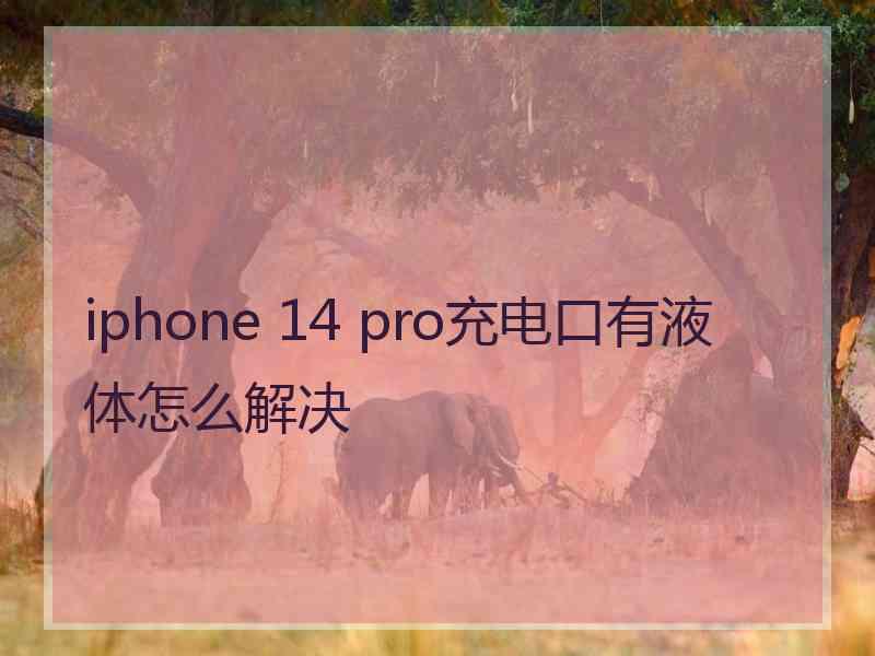 iphone 14 pro充电口有液体怎么解决