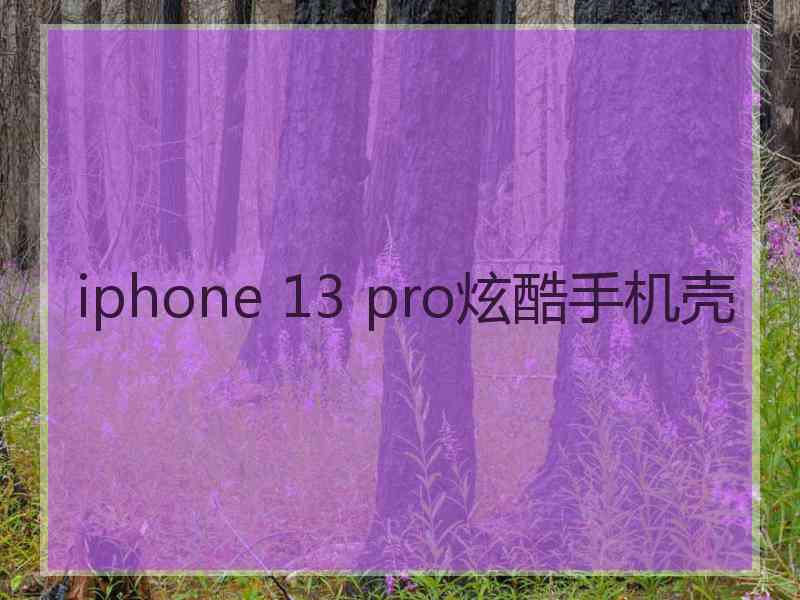 iphone 13 pro炫酷手机壳