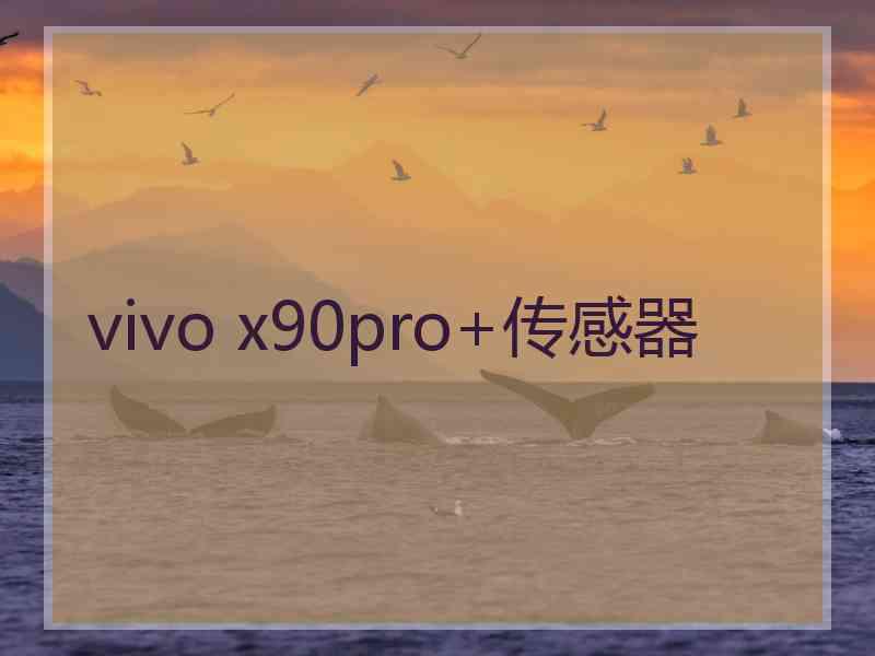 vivo x90pro+传感器