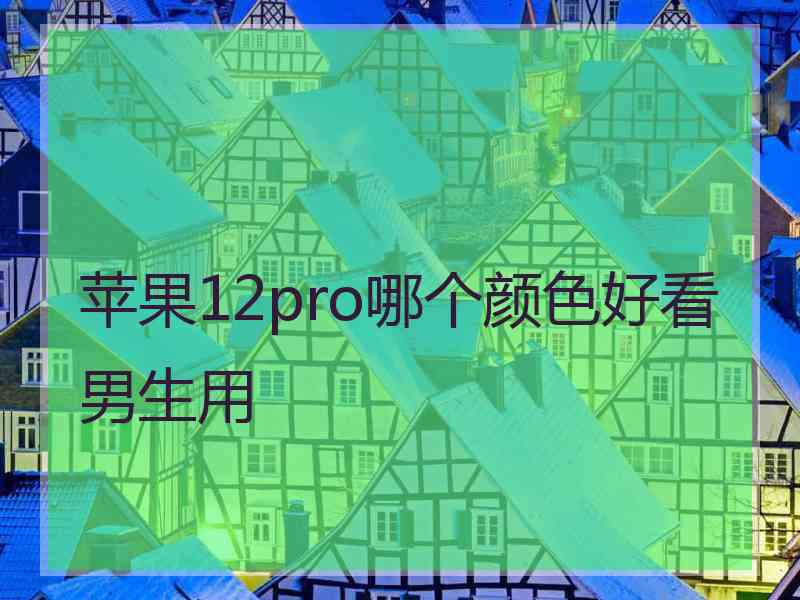 苹果12pro哪个颜色好看男生用