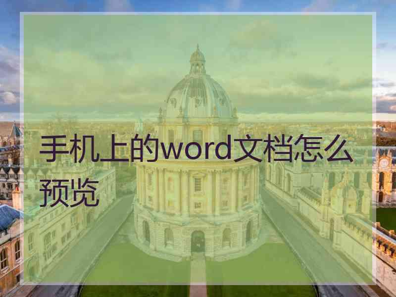 手机上的word文档怎么预览