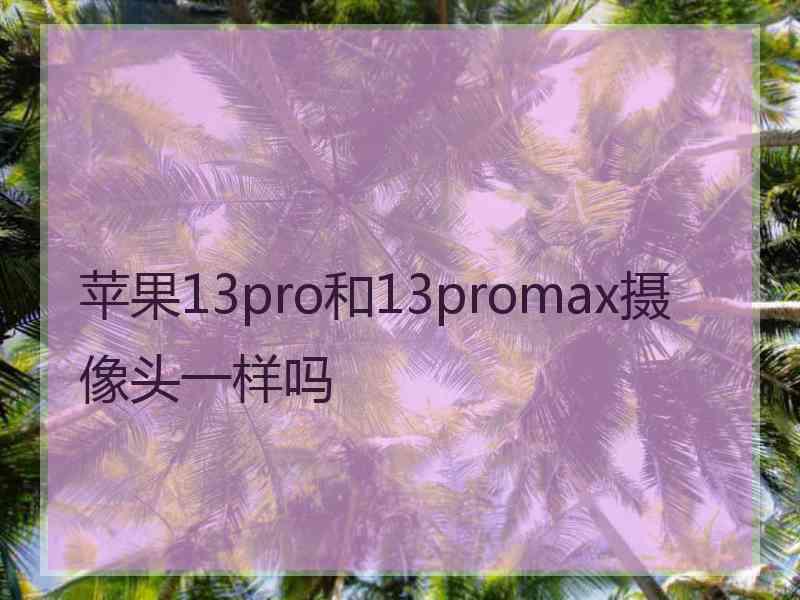 苹果13pro和13promax摄像头一样吗