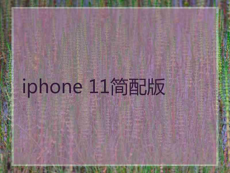 iphone 11简配版