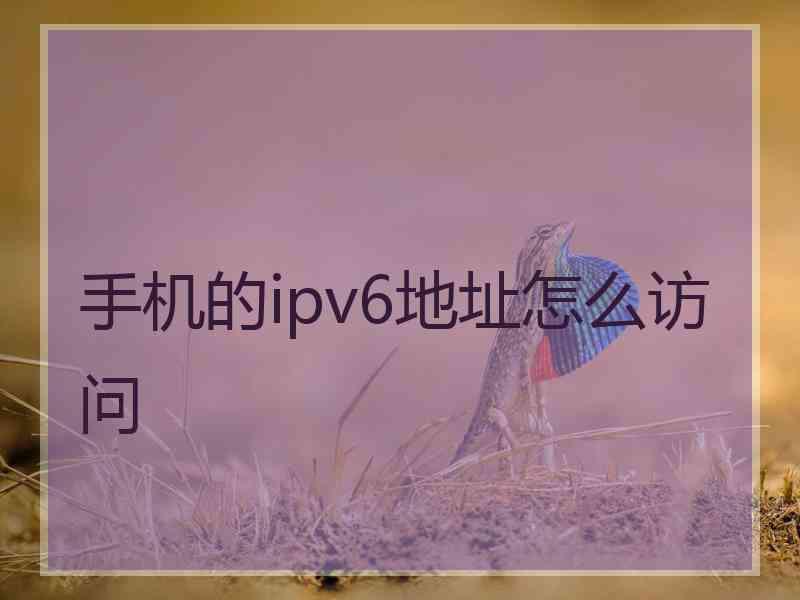 手机的ipv6地址怎么访问