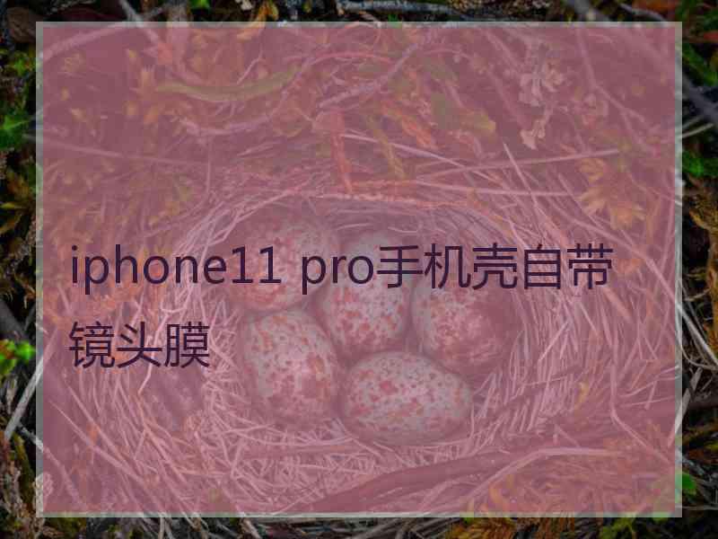 iphone11 pro手机壳自带镜头膜