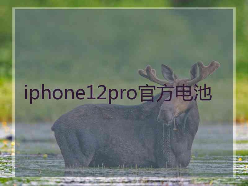 iphone12pro官方电池