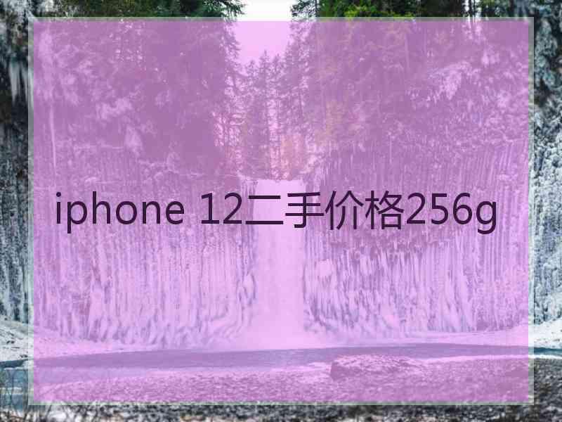 iphone 12二手价格256g