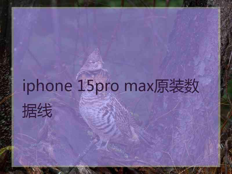 iphone 15pro max原装数据线