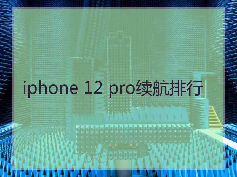 iphone 12 pro续航排行