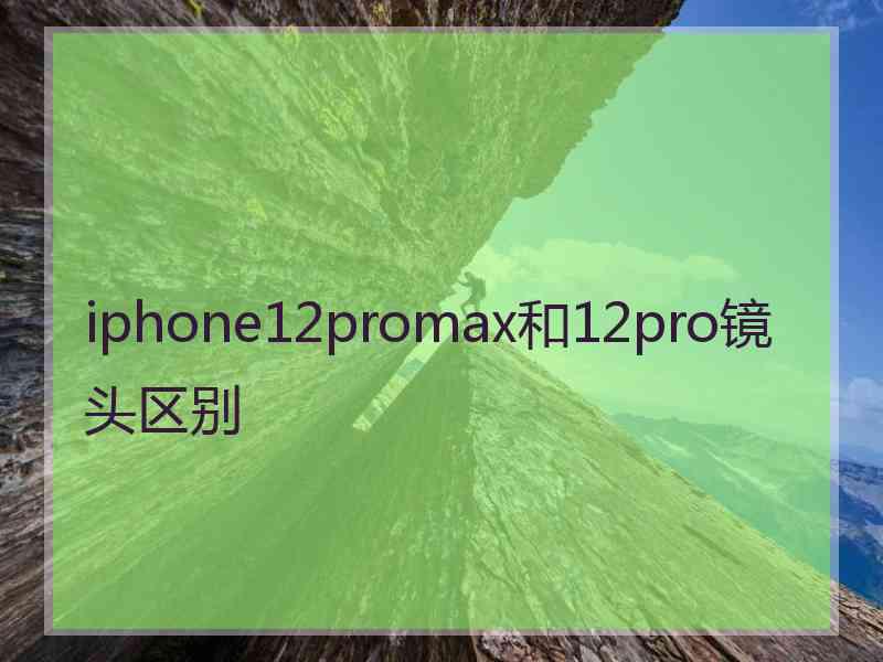 iphone12promax和12pro镜头区别