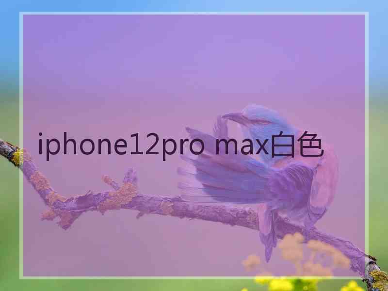 iphone12pro max白色