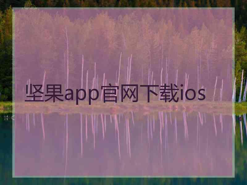 坚果app官网下载ios