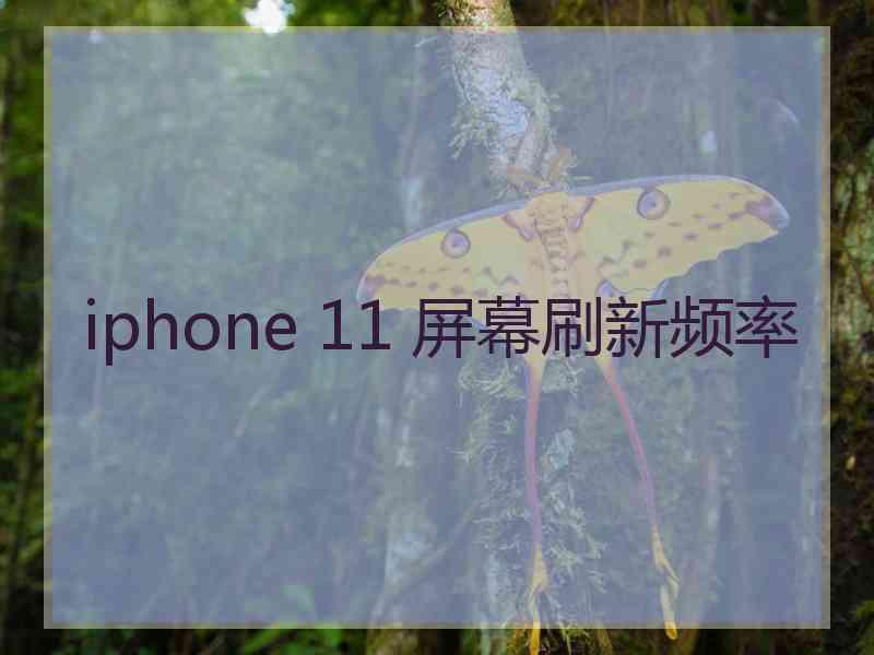 iphone 11 屏幕刷新频率