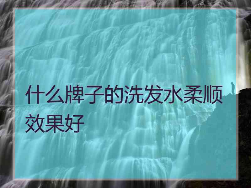 什么牌子的洗发水柔顺效果好