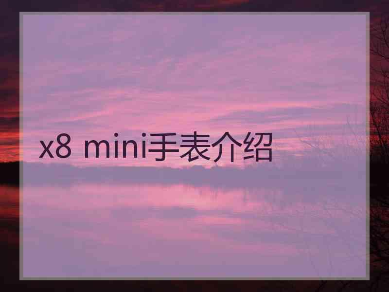 x8 mini手表介绍