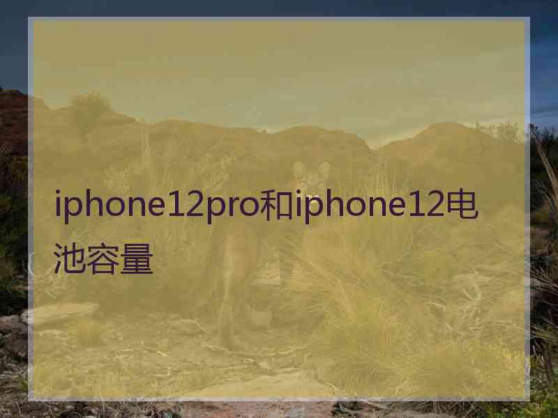 iphone12pro和iphone12电池容量