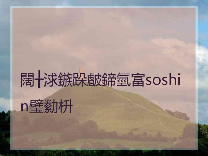 闊╁浗鏃跺皻鍗氫富soshin璧勬枡