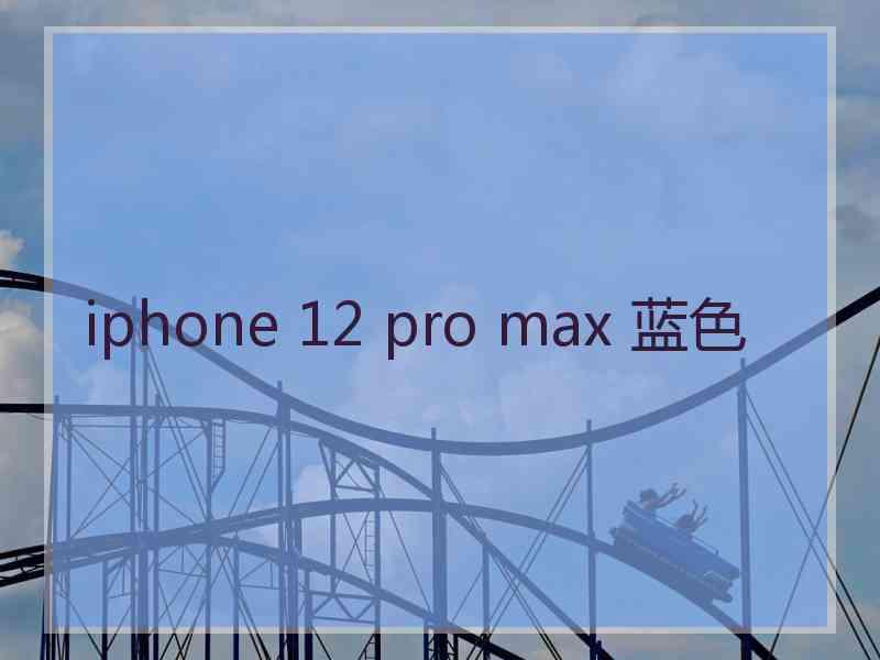 iphone 12 pro max 蓝色