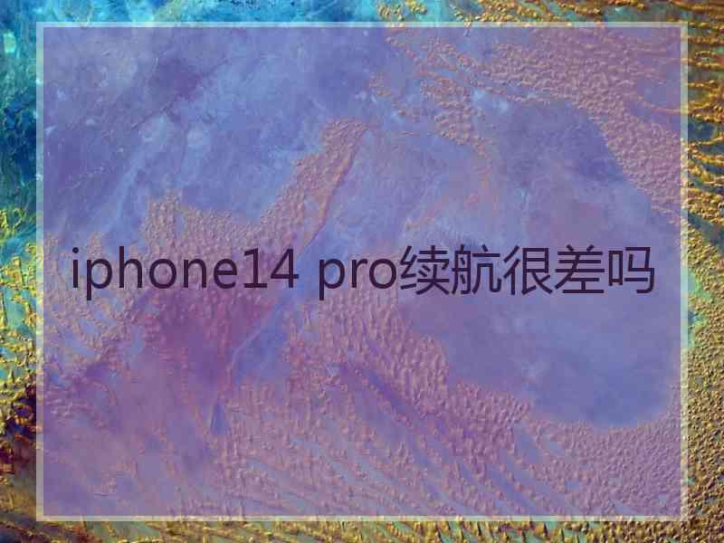 iphone14 pro续航很差吗