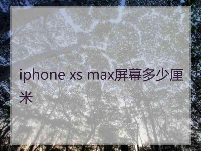 iphone xs max屏幕多少厘米