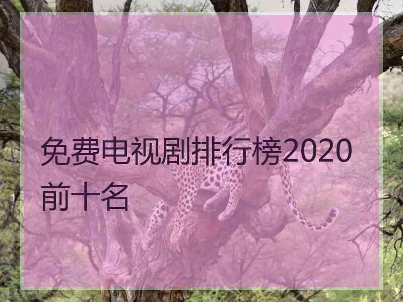 免费电视剧排行榜2020前十名