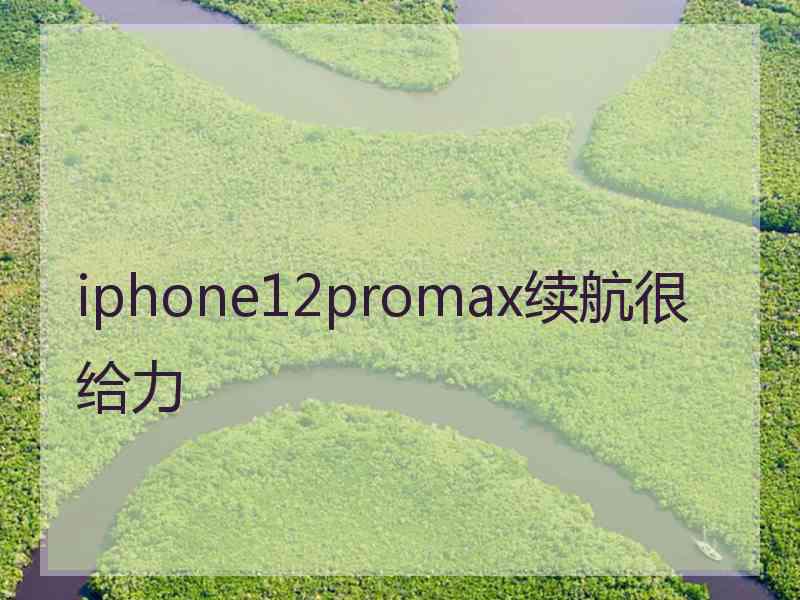 iphone12promax续航很给力