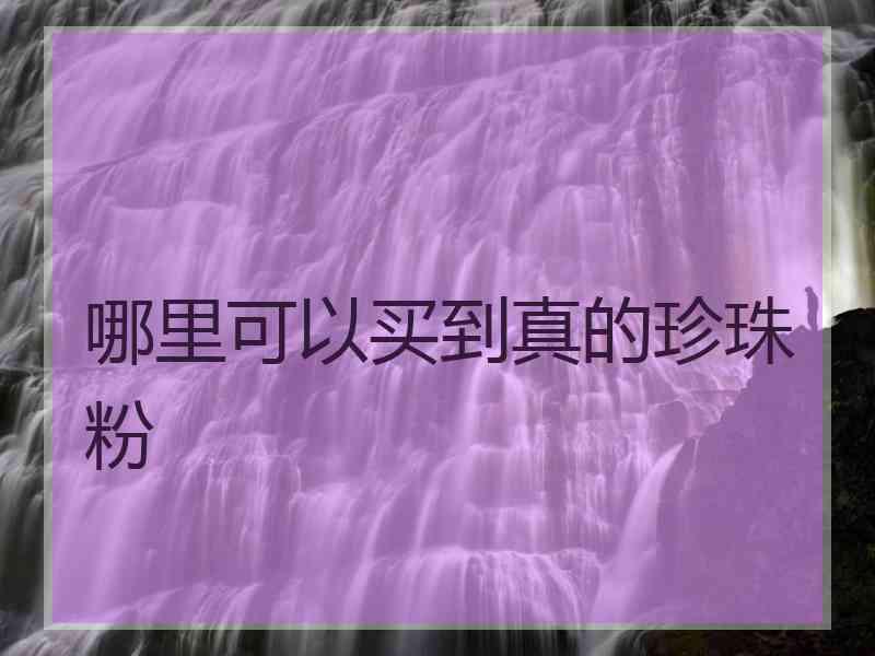 哪里可以买到真的珍珠粉