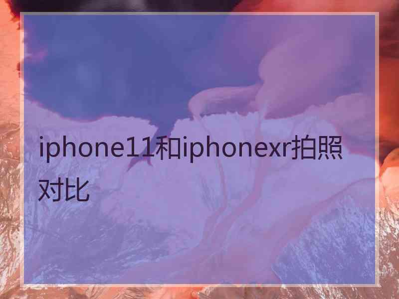 iphone11和iphonexr拍照对比