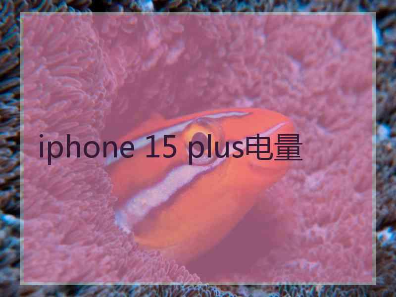 iphone 15 plus电量