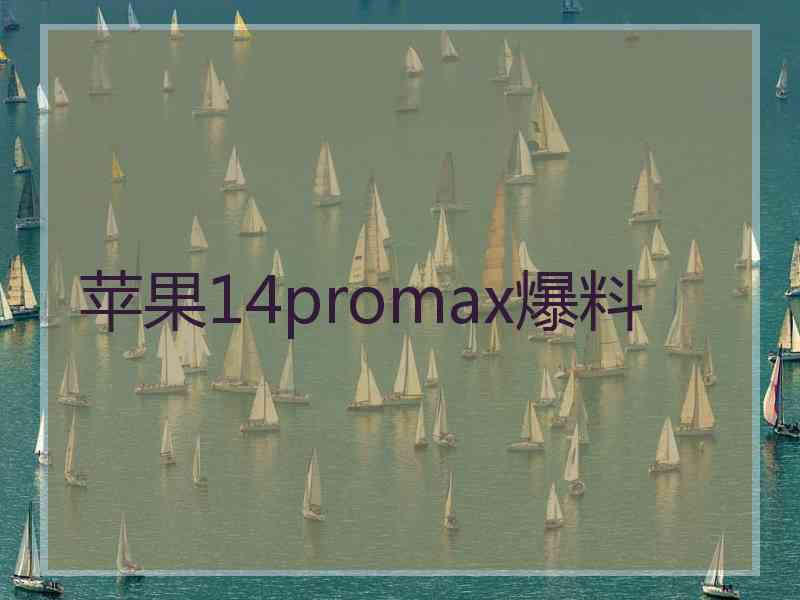 苹果14promax爆料