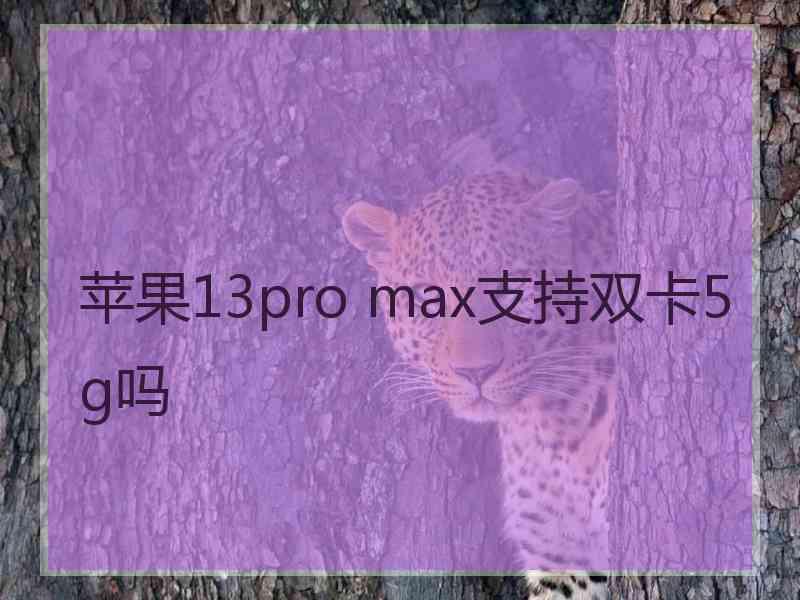 苹果13pro max支持双卡5g吗