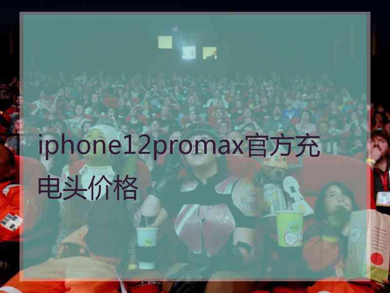 iphone12promax官方充电头价格