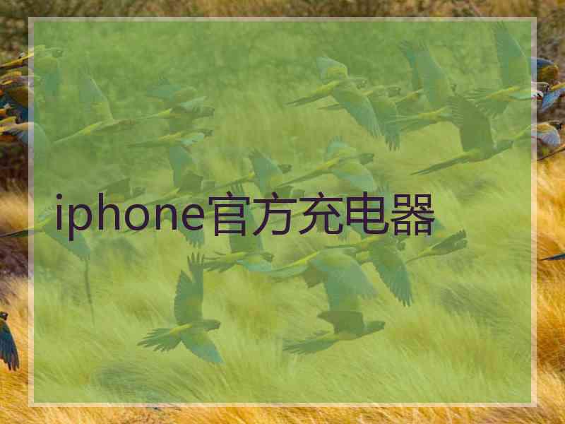 iphone官方充电器