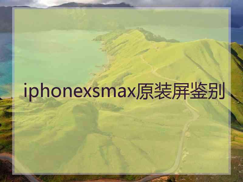 iphonexsmax原装屏鉴别