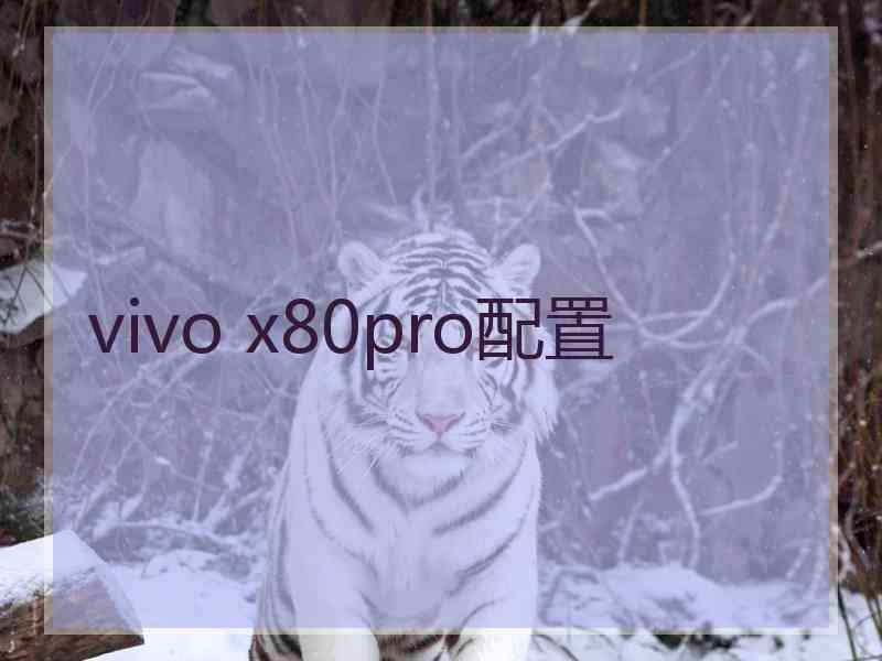 vivo x80pro配置