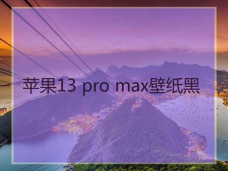 苹果13 pro max壁纸黑