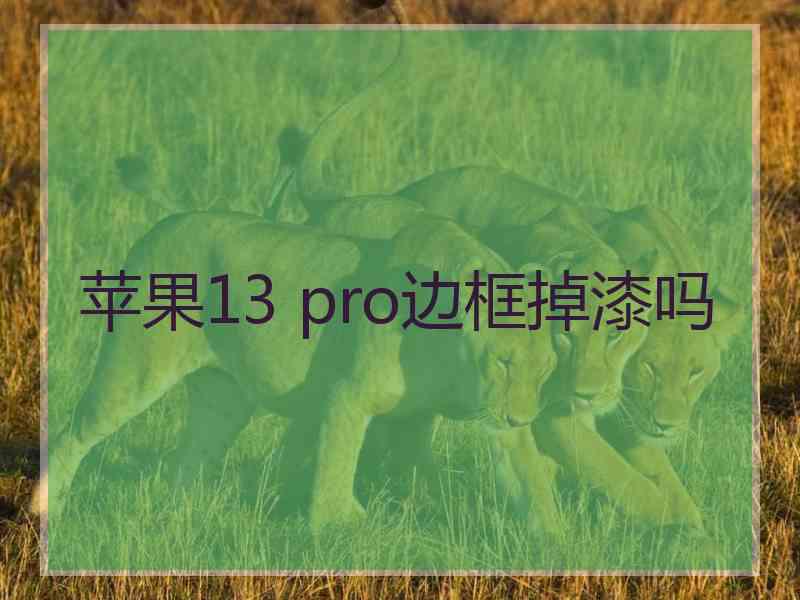 苹果13 pro边框掉漆吗