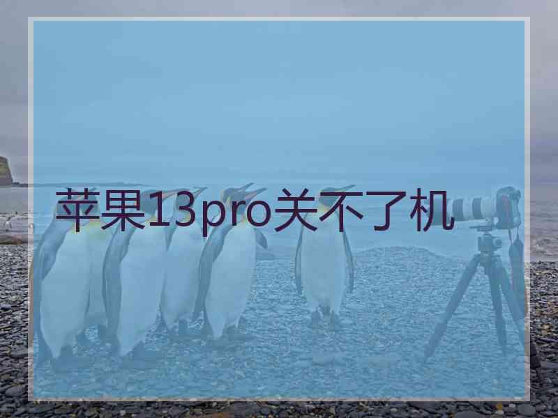 苹果13pro关不了机