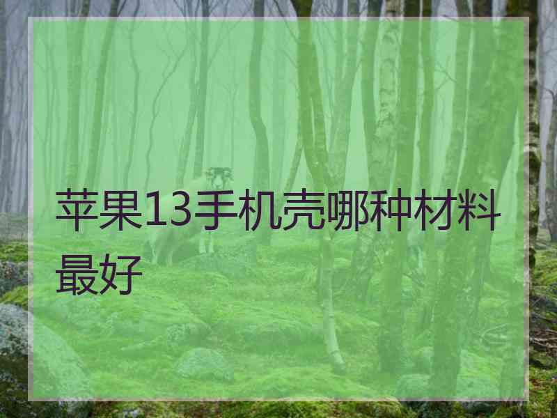 苹果13手机壳哪种材料最好