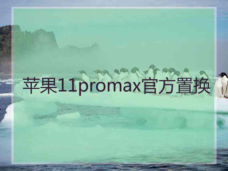 苹果11promax官方置换