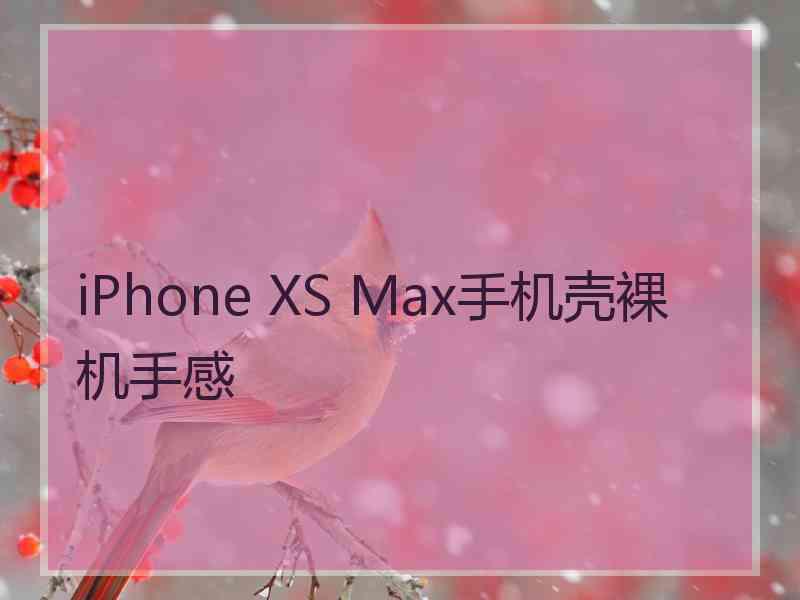 iPhone XS Max手机壳裸机手感