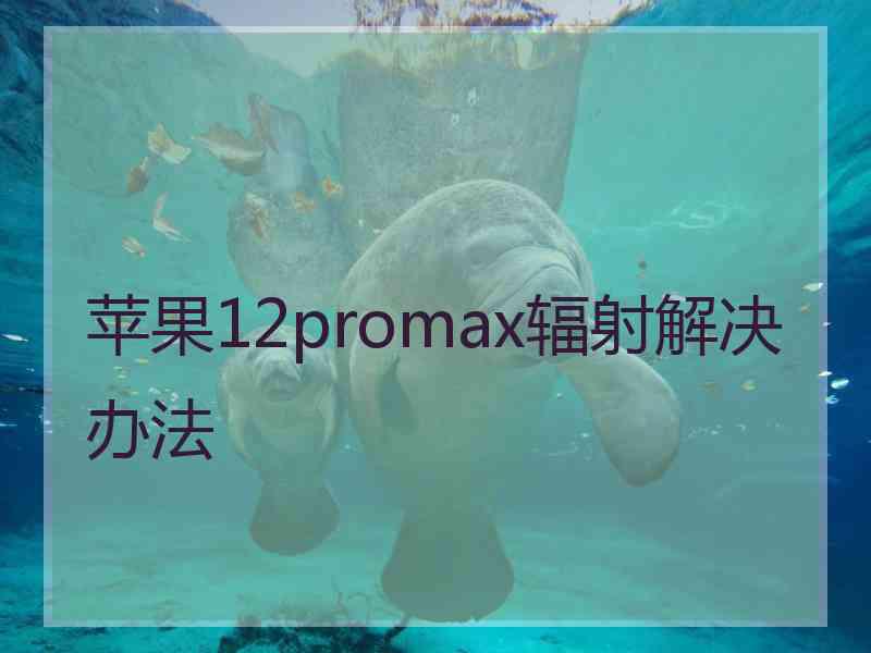 苹果12promax辐射解决办法