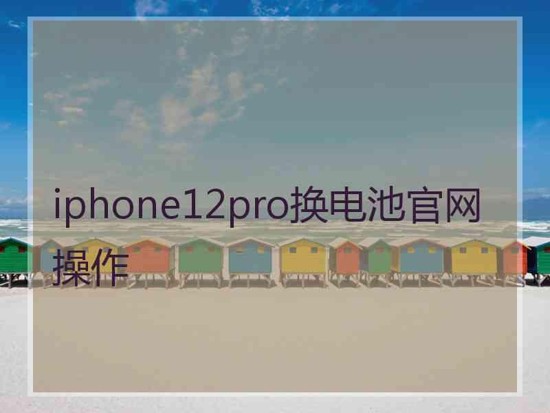 iphone12pro换电池官网操作