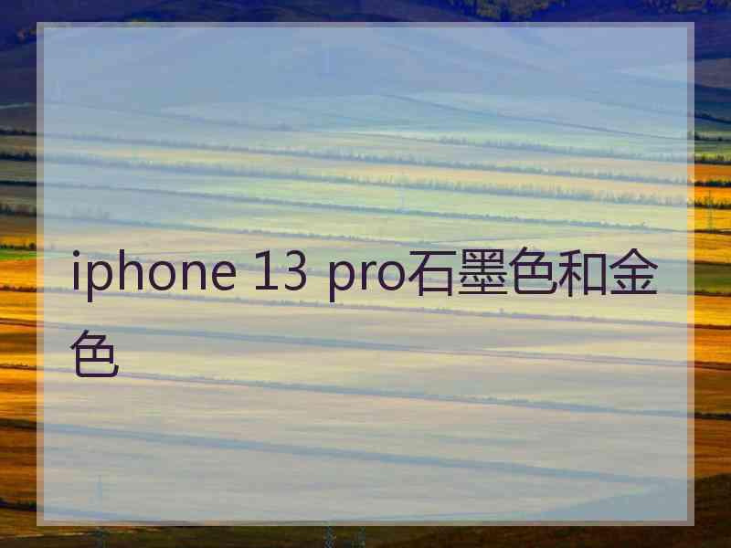 iphone 13 pro石墨色和金色