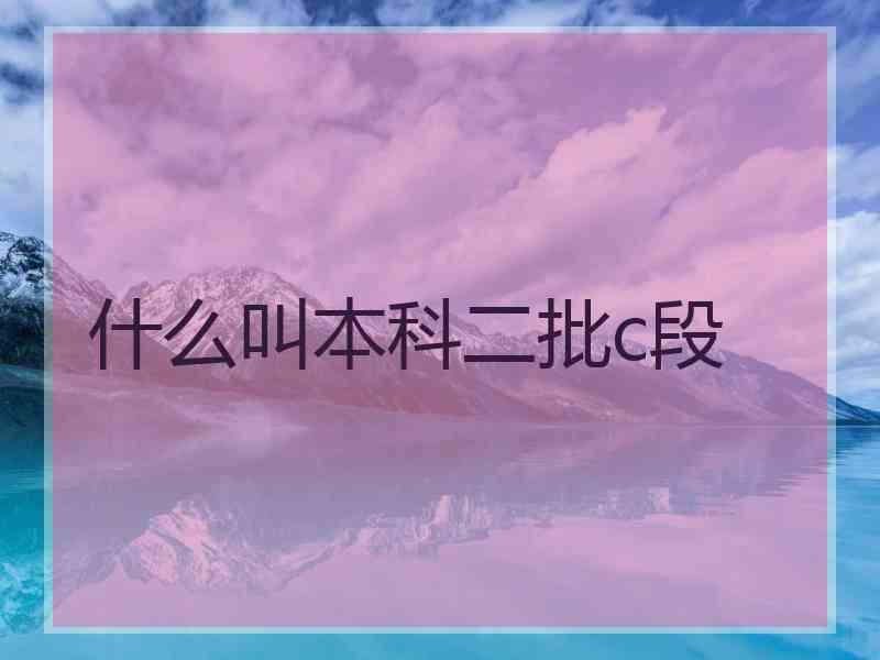 什么叫本科二批c段