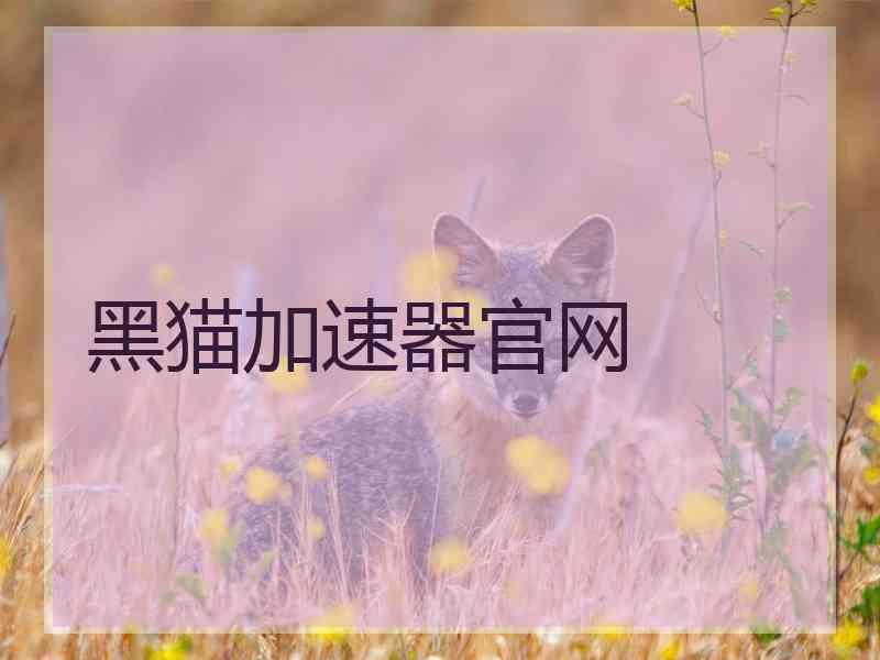 黑猫加速器官网