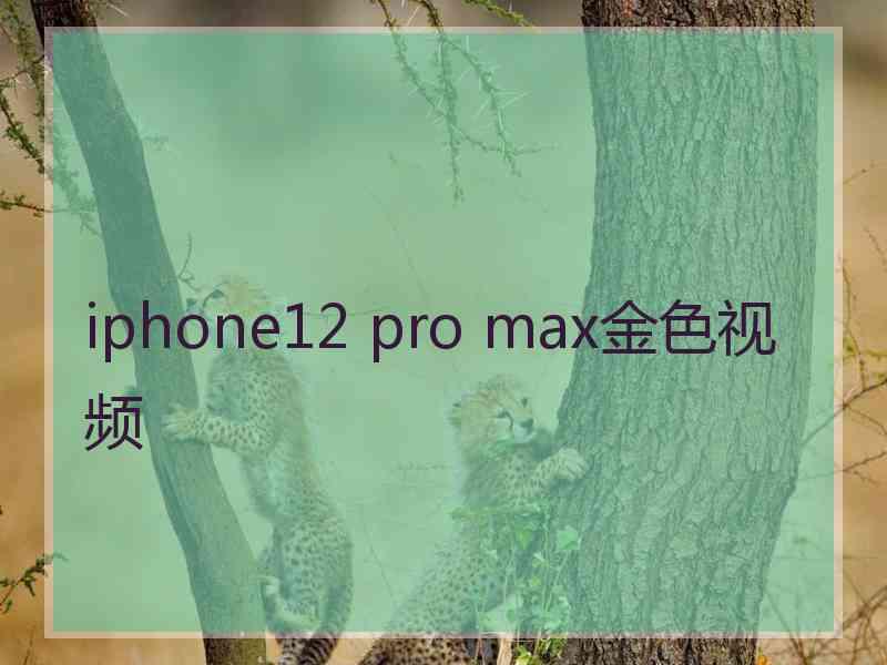 iphone12 pro max金色视频